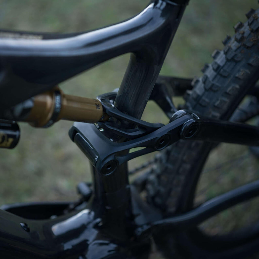 Amflow PL Carbon suspensión