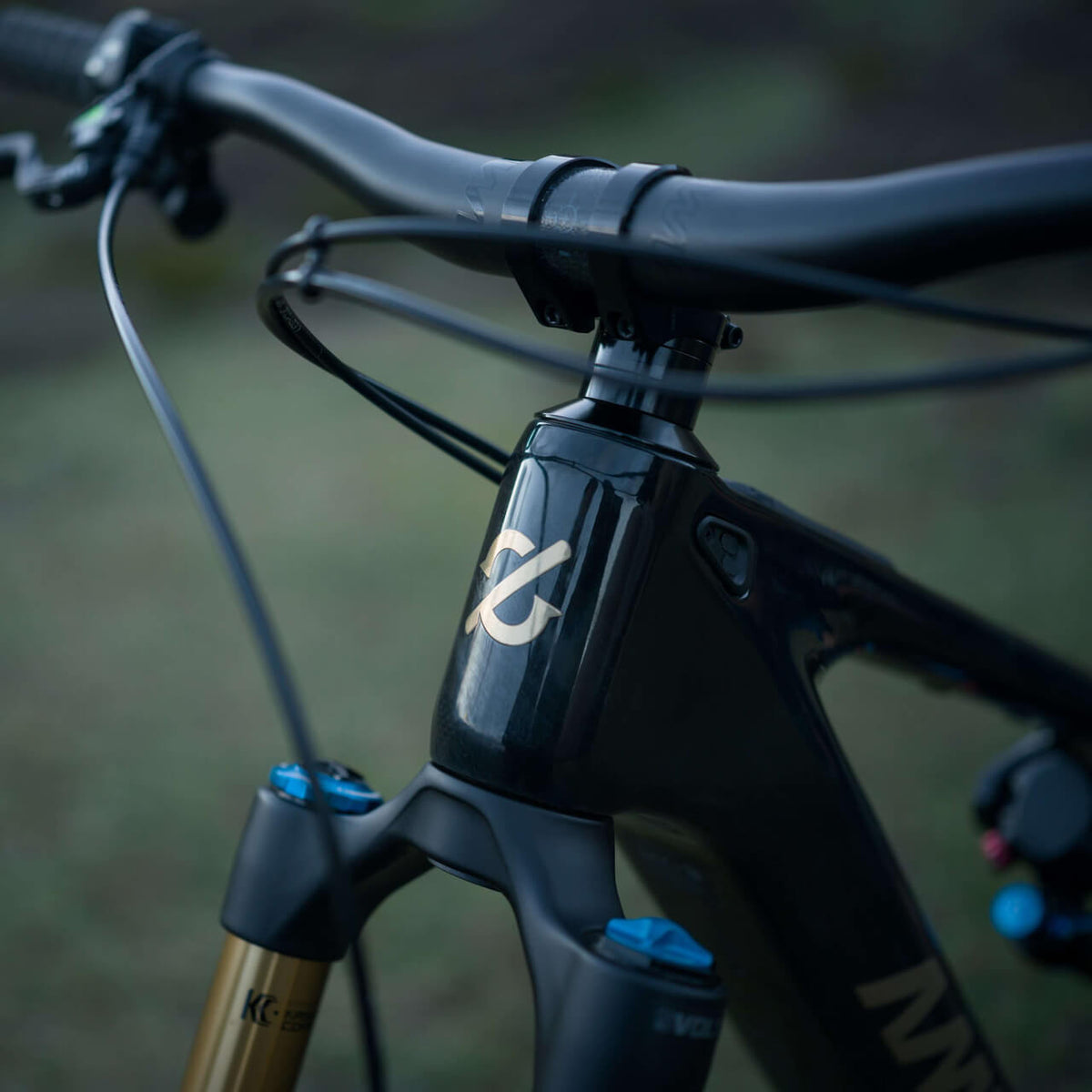 Amflow PL Carbon Pro detalle cuadro
