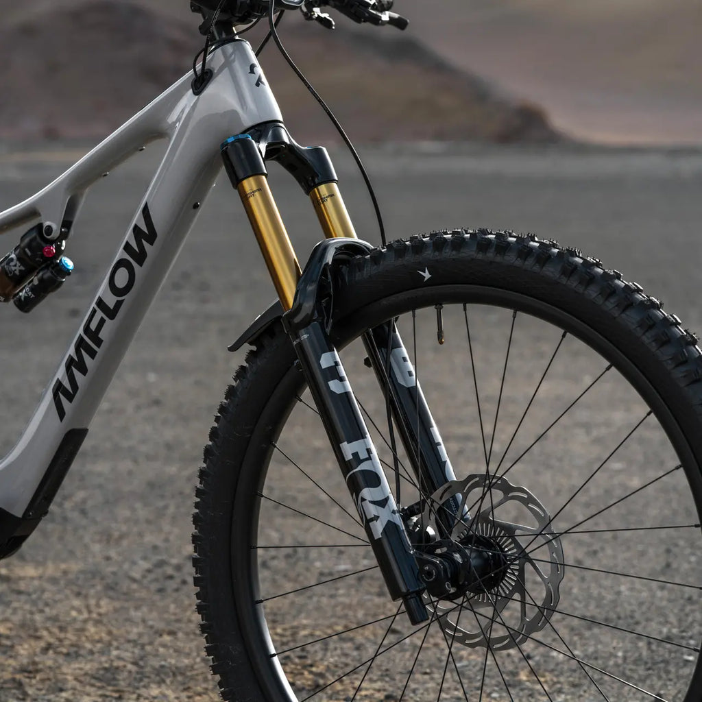 Amflow PX Carbon – imagen 6