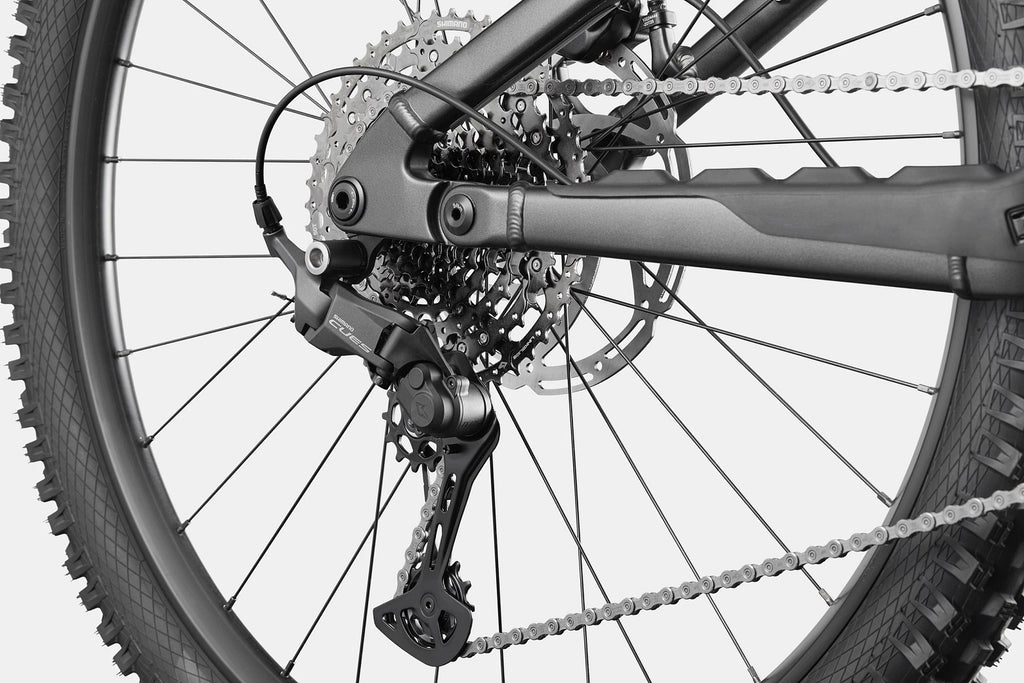 Cannondale Moterra 4+ Obsidian — D3