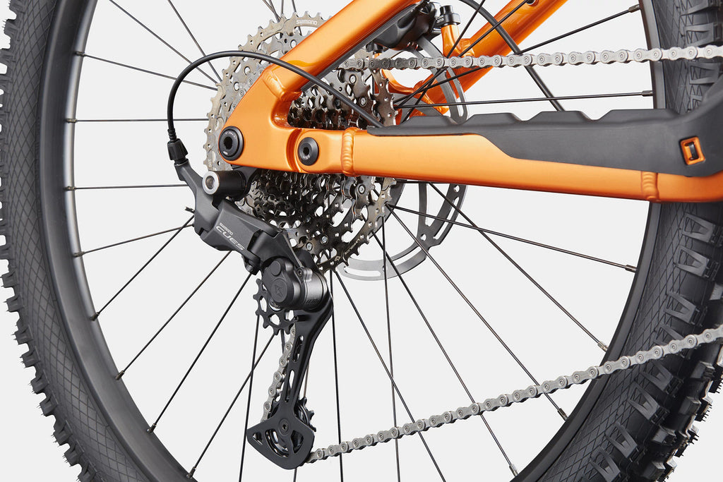 Cannondale Moterra 4+ Tiger Eye — D3