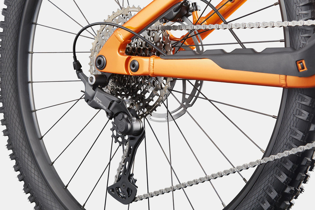 Cannondale Moterra 4+ Tiger Eye — D3